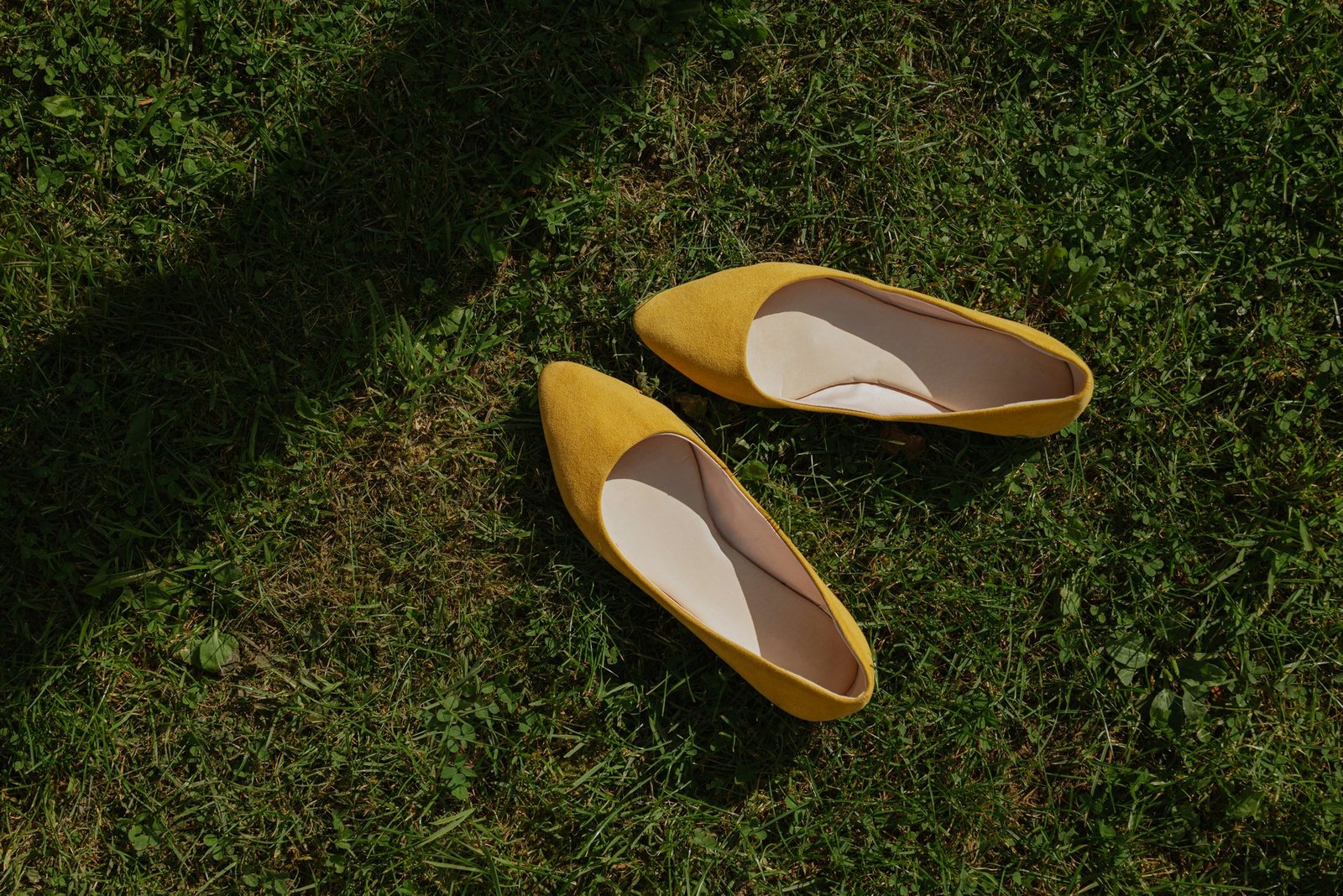 Wildlederschuhe werden mit Pflegemitteln aufgefrischt